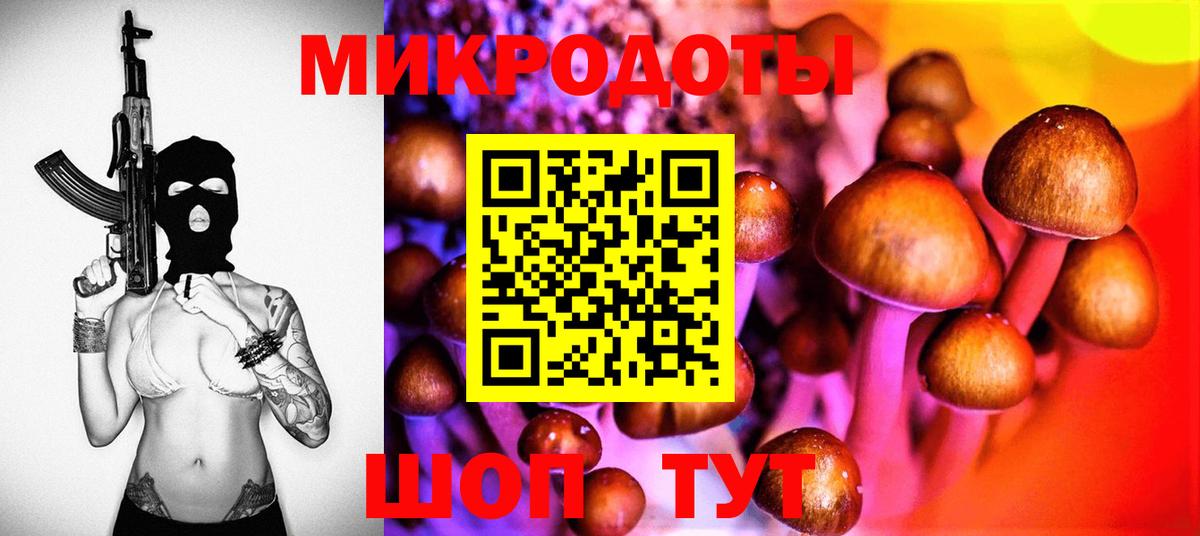 Псилоцибиновые грибы GOLDEN TEACHER Сатка